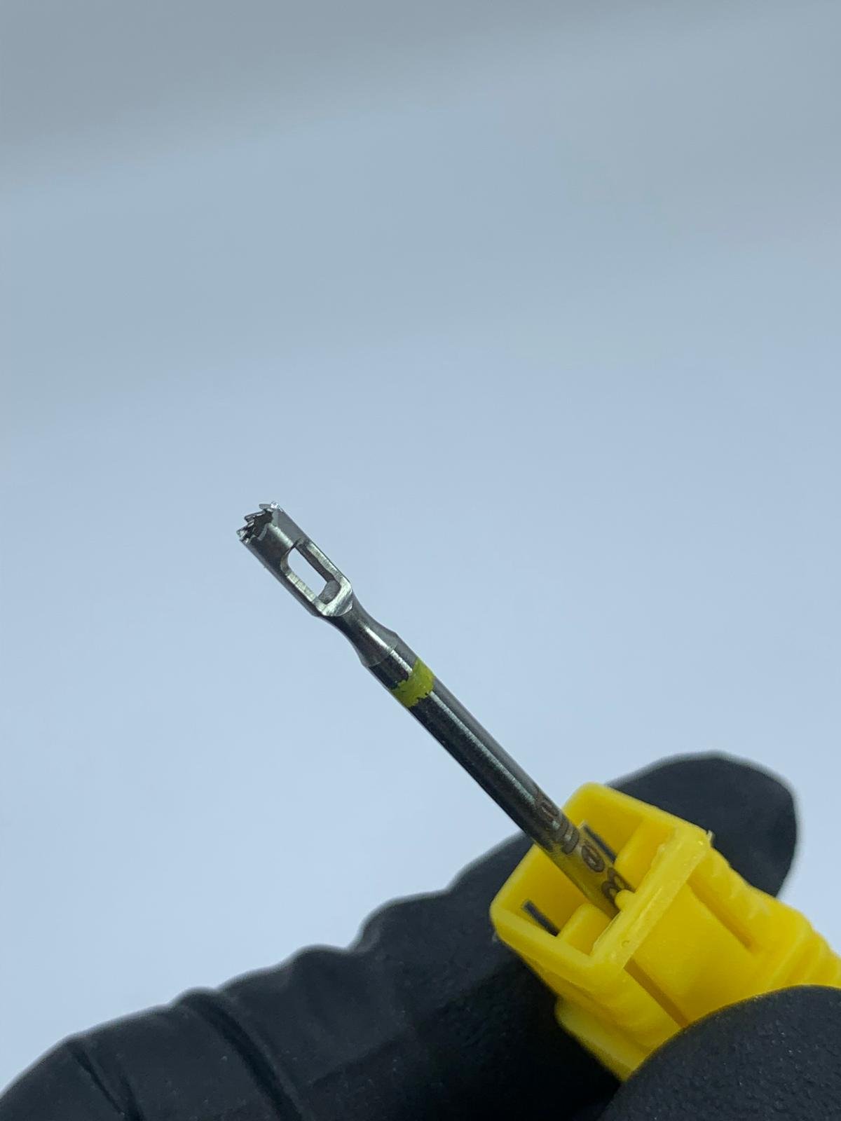 ראש ליבלות צהוב